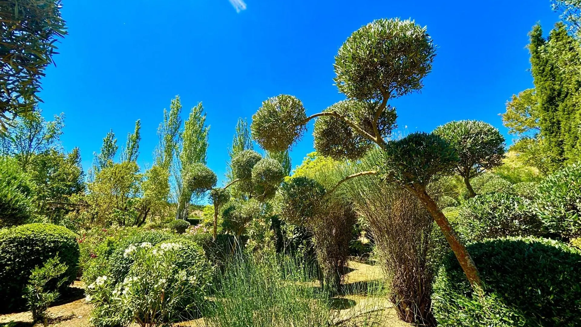 Finca Maridadi Ronda 0*,  Spagna