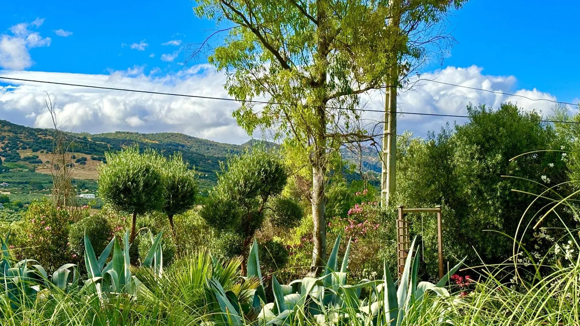 Finca Maridadi Ronda Casa vacanze