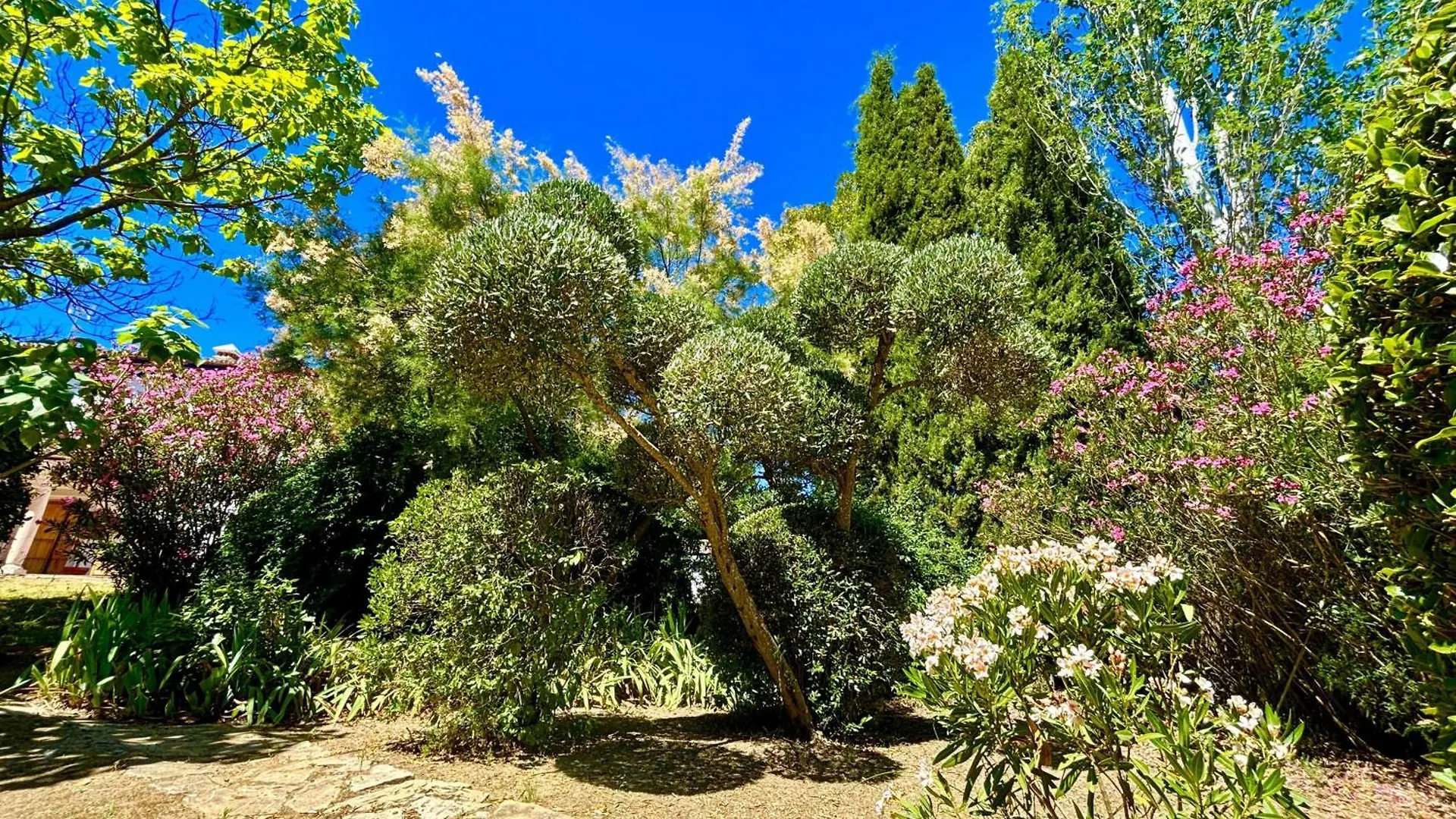 Finca Maridadi Ronda Spagna