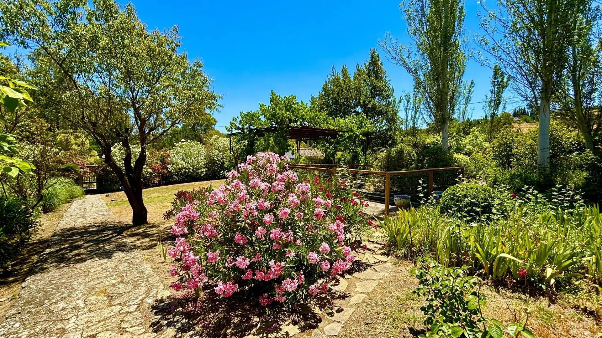 Finca Maridadi Ronda Casa vacanze