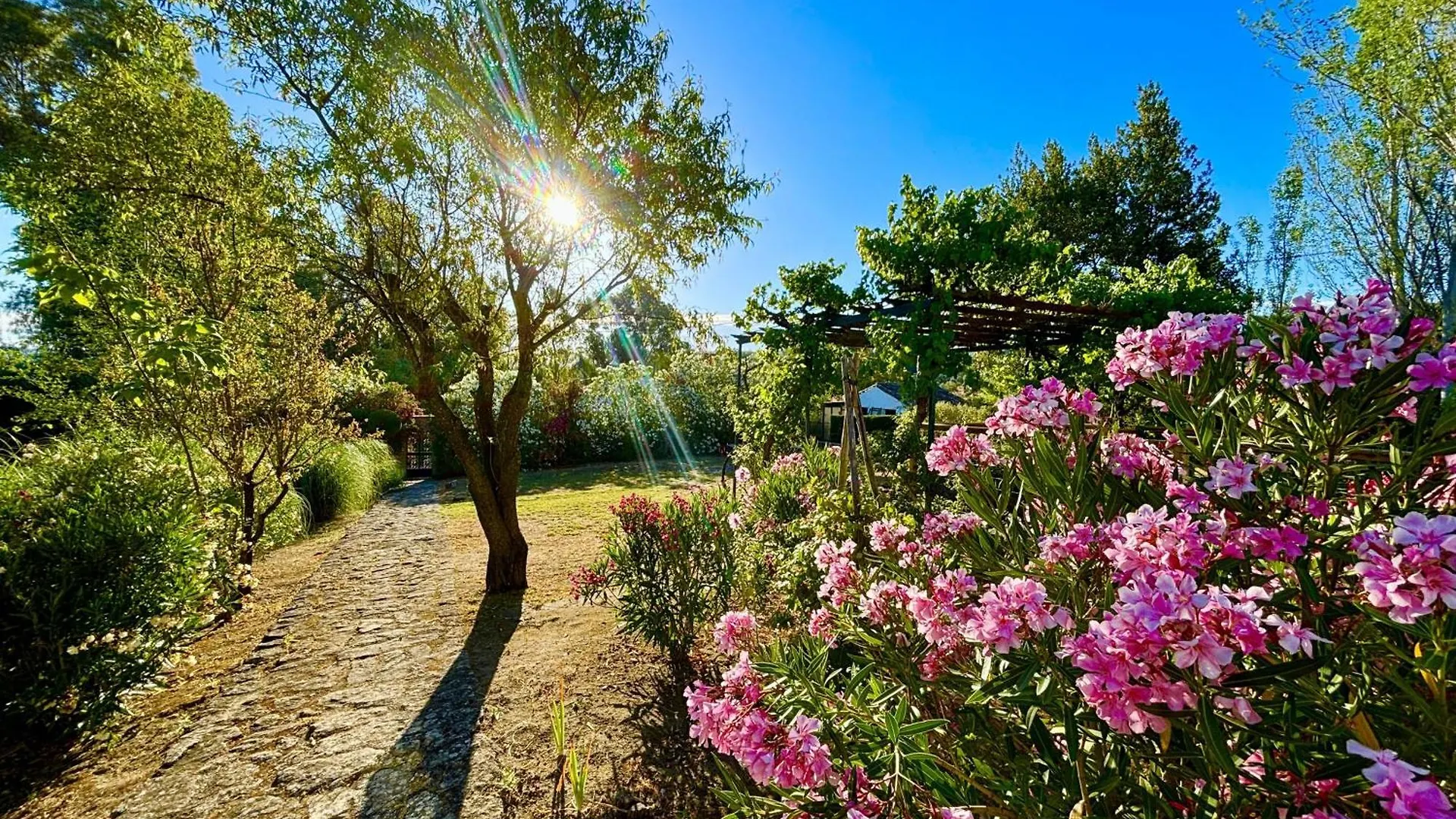 Casa vacanze Finca Maridadi Ronda